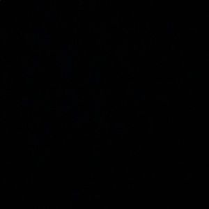 Meet your Posher, Lucia